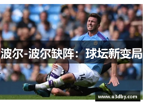 波尔-波尔缺阵：球坛新变局